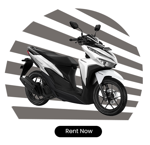 v125 honda arka rent